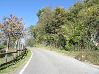 Asphalt road in perspective - deserted highway