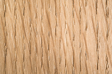 Velvet light oak wood texture. Close-up. Macro.