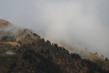 Autumn village trees landscape view. Autumn village scene. 