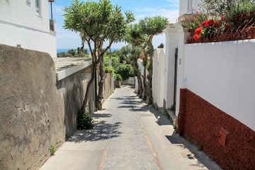 Capri Street