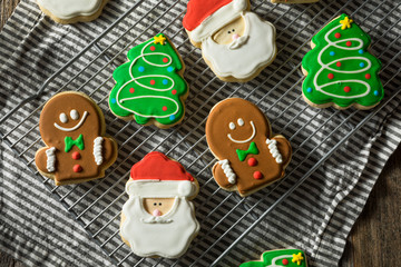Fototapeta na wymiar Homemade Decorated Christmas Sugar Cookies