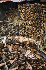 Abundance Of Chopped Firewood