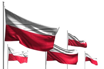 beautiful five flags of Poland are waving isolated on white - any celebration flag 3d illustration..