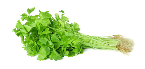 Organic celery (root celery and leaves of celery) isolate on white background, Thai green...