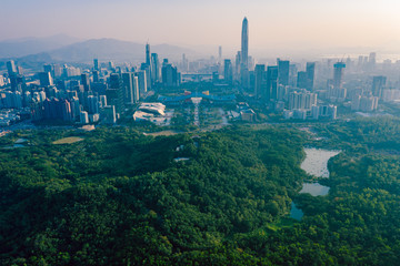 an aerial rear view of geographical central axis of shenzhen city