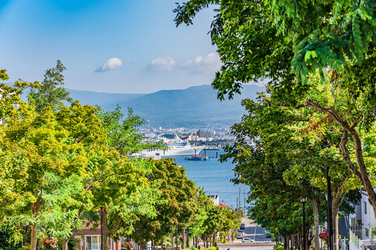 78 Best 摩周丸 Images Stock Photos Vectors Adobe Stock