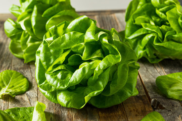 Raw Green Organic Butter Lettuce