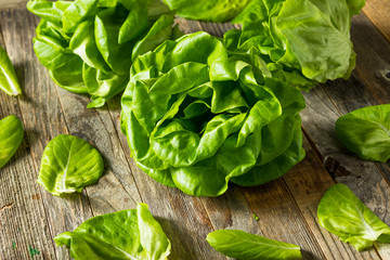 Raw Green Organic Butter Lettuce