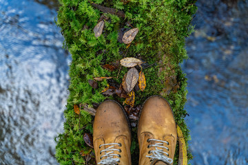 walking on the fallen tree trunk across the river
