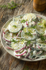 Homemade Greek Yogurt Cucumber Salad