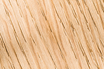 Light oak wood texture. Wood fibers. Macro.