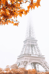 Fototapeta na wymiar Eiffel Tower in the fog in autumn - romantic view - vertical format