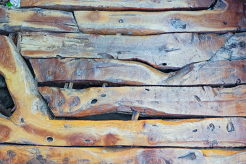 The texture of the young and light-colored wood. Light wood surface. Dramatic macro image of the texture of the wood. Multi-colored beams of wood