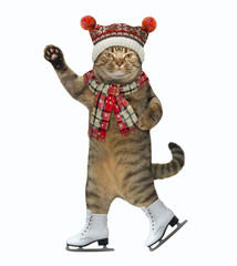 The beige cat with a raised paw dressed in a red knitting hat and a scarf is skating. White...