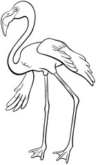 flamingo bird animal character coloring book page