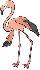 flamingo bird animal character cartoon illustration - obrazy, fototapety, plakaty
