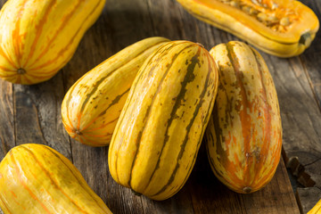 Raw yellow Organic Delicata Squash