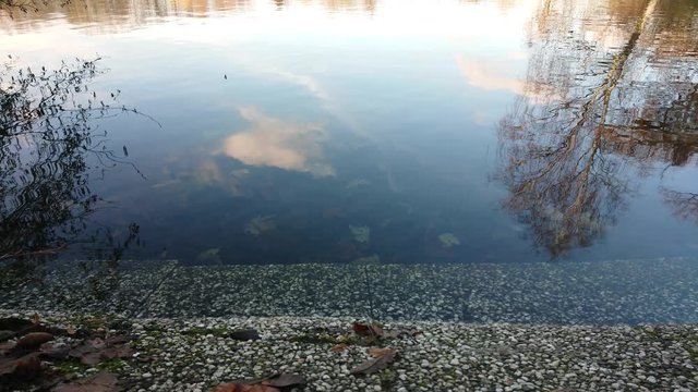 Reflections of trees and clouds on lake water.