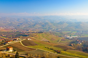 Morning winter view on landscape of smooth hills with rows of vineyards in the Langhe region,...
