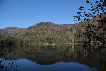 Autumn village trees landscape view. Autumn village scene. 