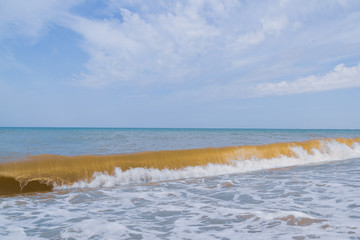 The sea shore at summer Sunny clear day in early summer