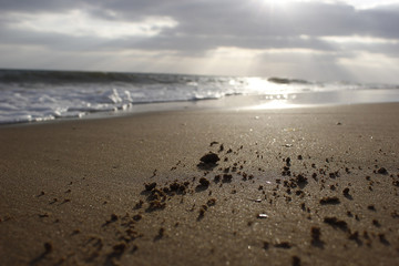 Atardecer Playa Detalle
