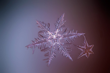 snowflake on black background