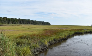 Landscape in New Jersey