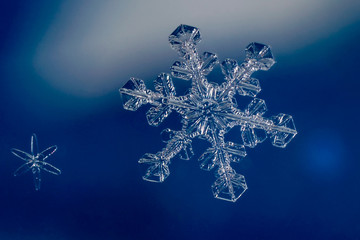 snowflake on blue background