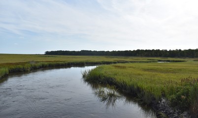 Landscape in New Jersey