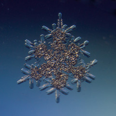 snowflake on white background