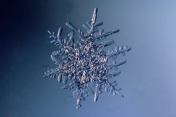 snowflake on black background