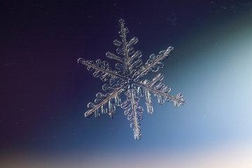 snowflake on black background