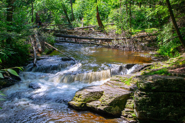 Obraz premium Hidden Brook