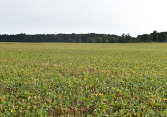 landscape in New Jersey
