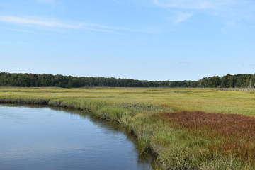 New Jersey wetlands