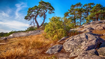 Obraz premium Baltic Sea coast scenery in Hanko, Finland