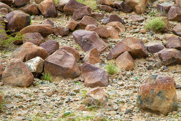 The stones and grass on the rock