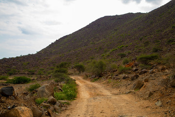The road in the mountains