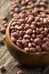 Raw Organic Dry Pink Beans