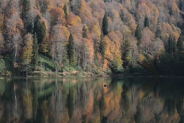 Colorful autumn landscape in the mountain village. 