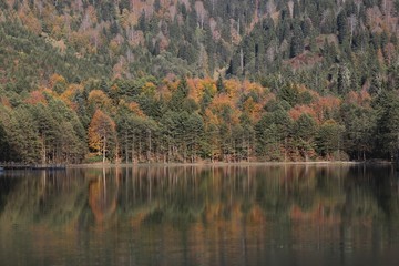 Colorful autumn landscape in the mountain village. 