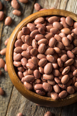 Raw Organic Dry Pink Beans