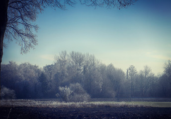 Rural Bavaria in winter, first ice and frost on the tree branches