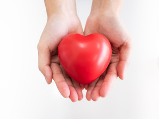 Fototapeta premium Cute red heart in two palms hand for take care of your good health from high blood pressure or romantic of love emotion feeling symbol on Valentine's day concept on white isolated background