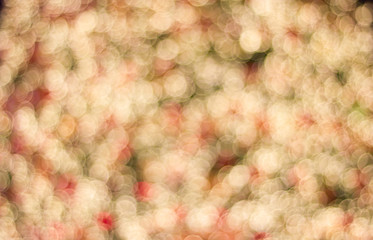 Light bokeh from Christmas tree decorated for background. Christmas and New Year Festival.