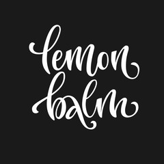 Vector hand drawn calligraphy style lettering word - Lemon balm. White colored isolated design. Isolated script spice text label.