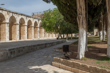 Gerusalemme 12