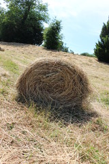 hay bale
