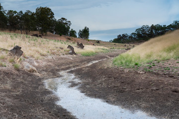 A fresh water reservoir feeder creek running dry due to the drought in Australia